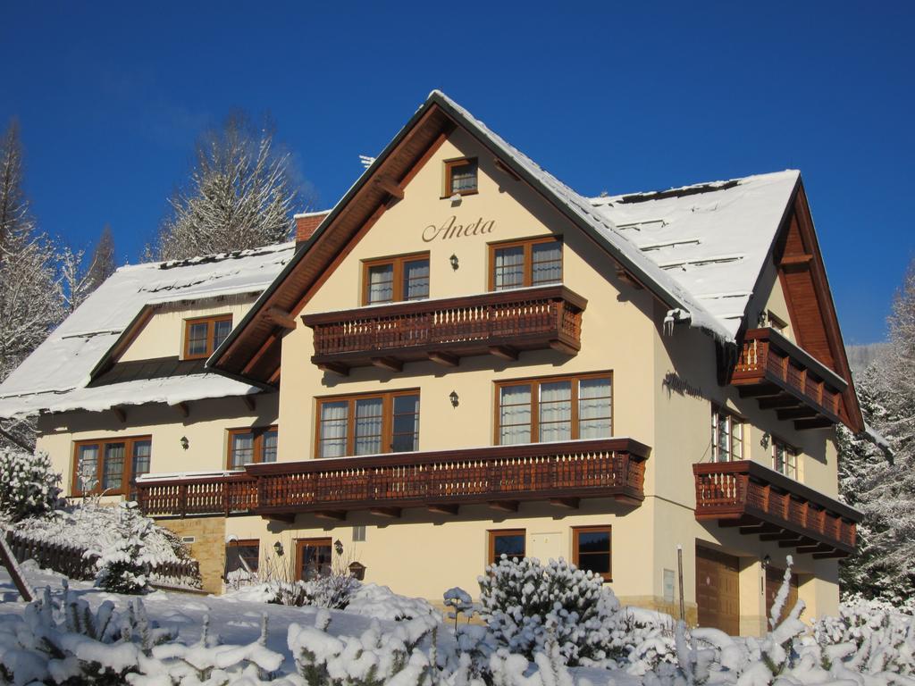 Apartmany Aneta スピンドレルフ・ムリン エクステリア 写真