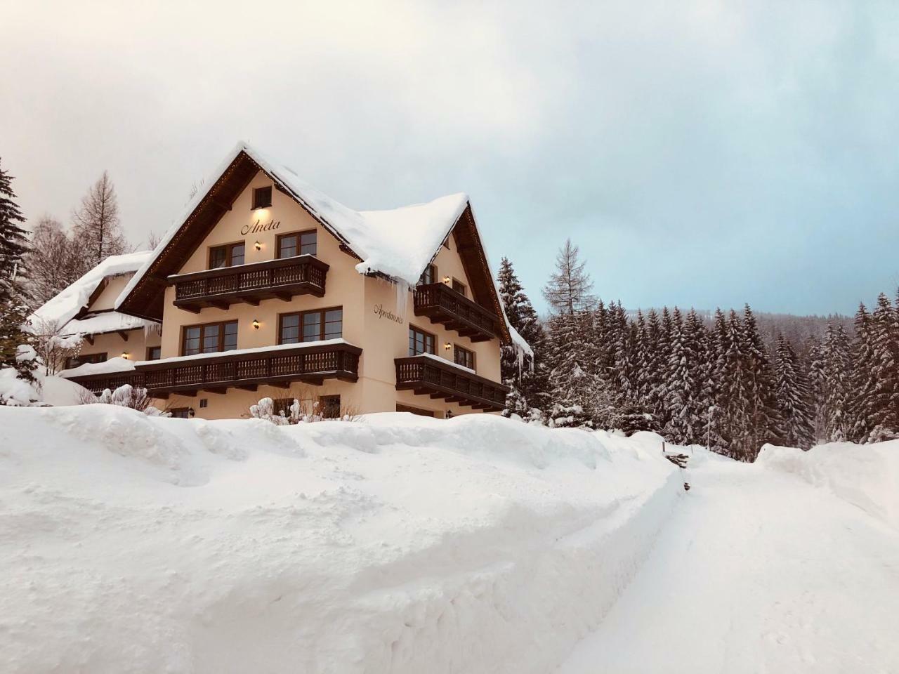 Apartmany Aneta スピンドレルフ・ムリン エクステリア 写真
