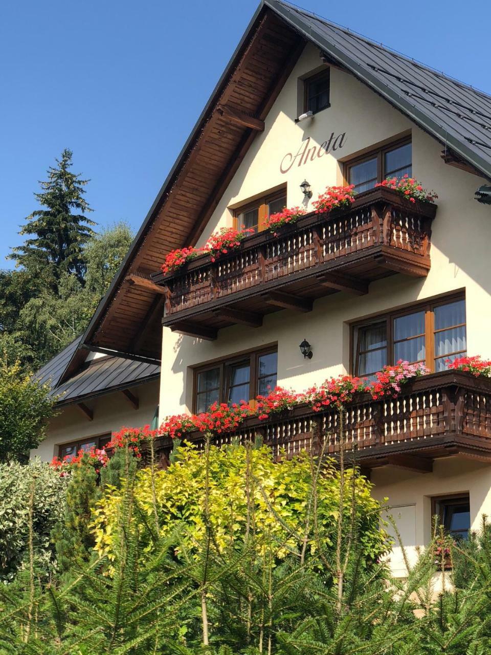 Apartmany Aneta スピンドレルフ・ムリン エクステリア 写真