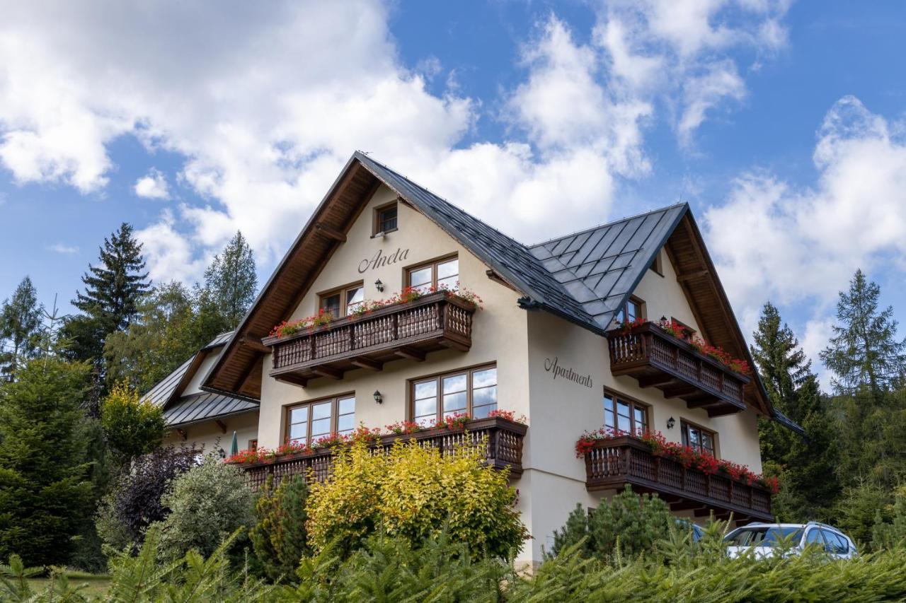 Apartmany Aneta スピンドレルフ・ムリン エクステリア 写真